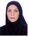 بی تا حامد