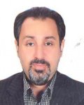 سید مسعود نبوی